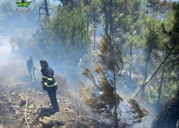 في موقف يعكس أسمى معاني الإنسانية والتضامن الوطني، شارك فريق من رجال الإطفاء في مدينة قامشلو في إخماد الحريق الضخم الذي اندلع في الساحل السوري