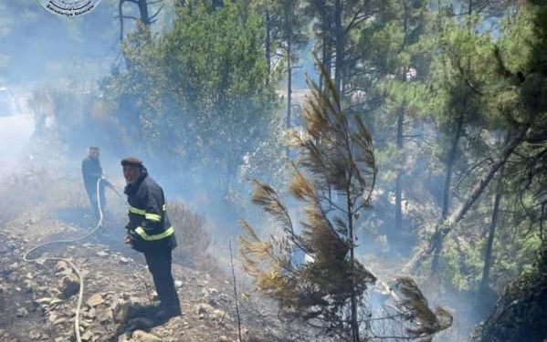 في موقف يعكس أسمى معاني الإنسانية والتضامن الوطني، شارك فريق من رجال الإطفاء في مدينة قامشلو في إخماد الحريق الضخم الذي اندلع في الساحل السوري